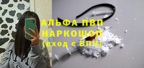 дживик Абаза