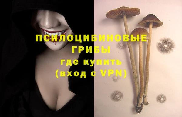 а пвп мука Абдулино