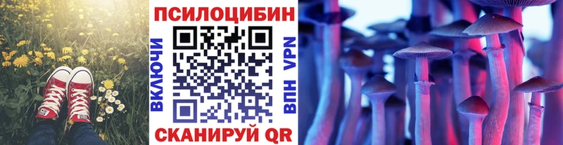 Галлюциногенные грибы Cubensis  Ивантеевка 